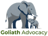 Goliath Advocacy